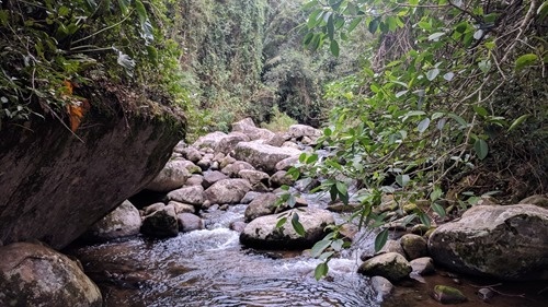 The Pedra Branca river The Pedra Branca river