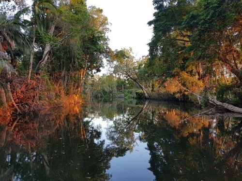 The creek by sunset The creek by sunset