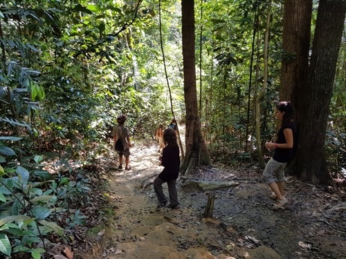 Walking through the jungle near Puchong Walking through the jungle near Puchong