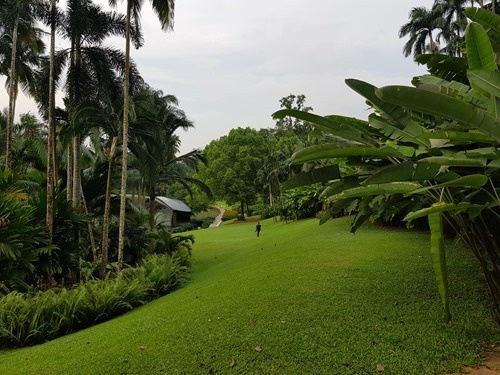 Lovely open lawns Lovely open lawns