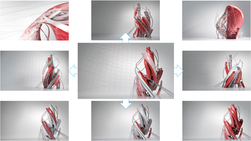 The AutoCAD family The AutoCAD family