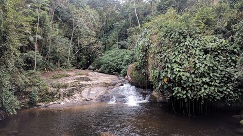 A pool near Paraty A pool near Paraty