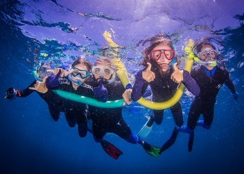 The Walmsleys snorkelling The Walmsleys snorkelling