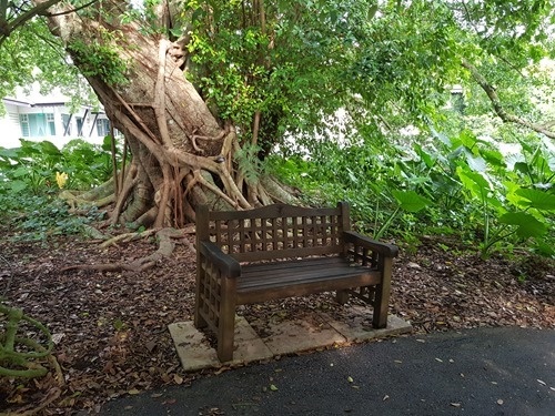 A bench in the Botanical Gardens A bench in the Botanical Gardens