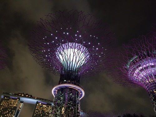 The super-trees at Gardens by the Bay The super-trees at Gardens by the Bay