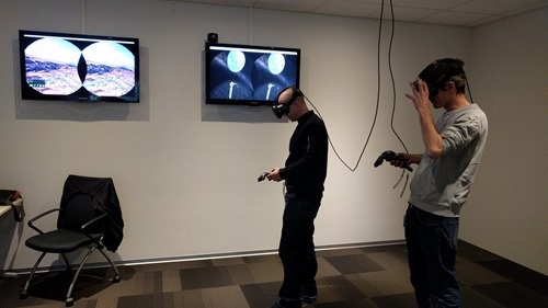 VR guinea pigs