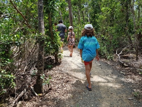 A bush walk A bush walk