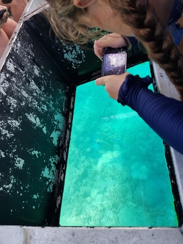 Anokhi capturing shots of the reef Anokhi capturing shots of the reef