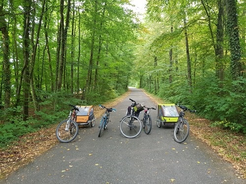 Our bikes in the forest Our bikes in the forest
