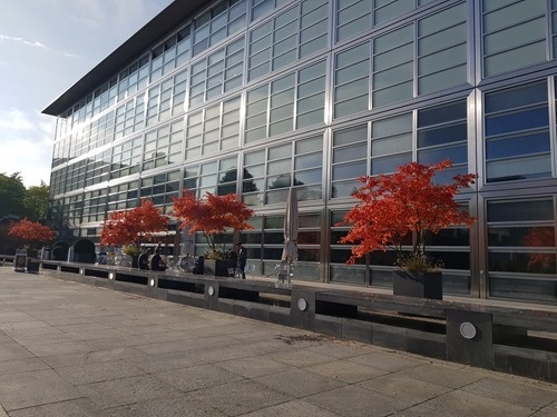 Autumn colours hit ETH's Hönggerberg campus Autumn colours hit ETH's Hönggerberg campus