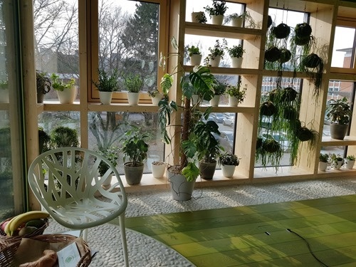 Lots of glass and plants Lots of glass and plants