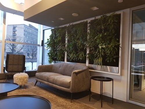 A lounge area A lounge area