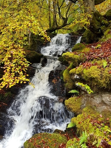 A waterfall A waterfall