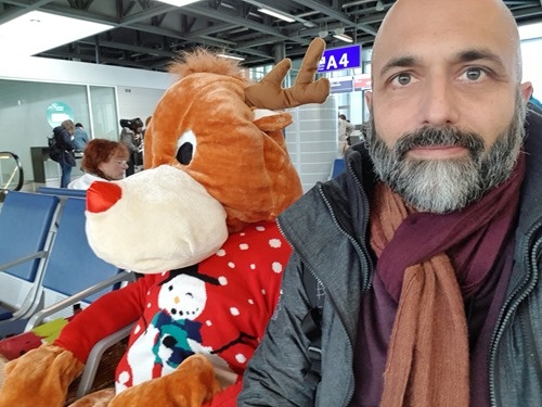 Reindeer Reindeer