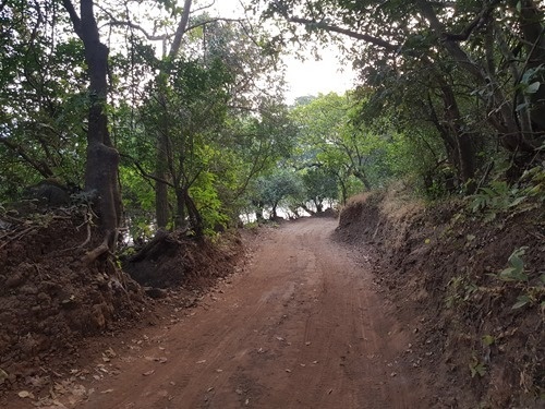 Road Road