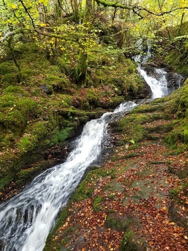 Another waterfall Another waterfall