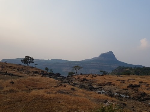 Terrain Terrain
