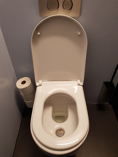 First gen pee-separating toilet First gen pee-separating toilet