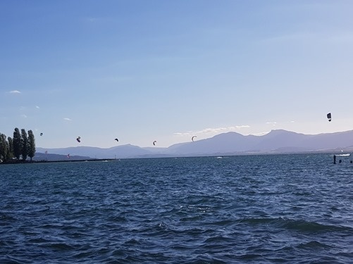 Kites Kites