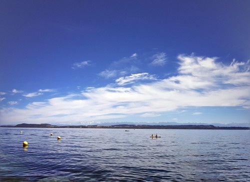 The lake from Neuchatel The lake from Neuchatel