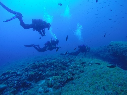 Under the surface with the kids Under the surface with the kids