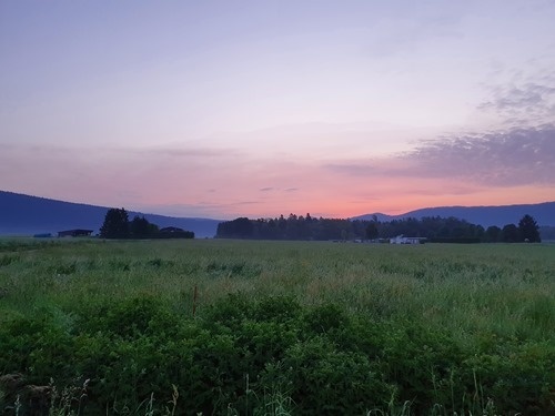 Enjoying the pre-dawn twilight Enjoying the pre-dawn twilight