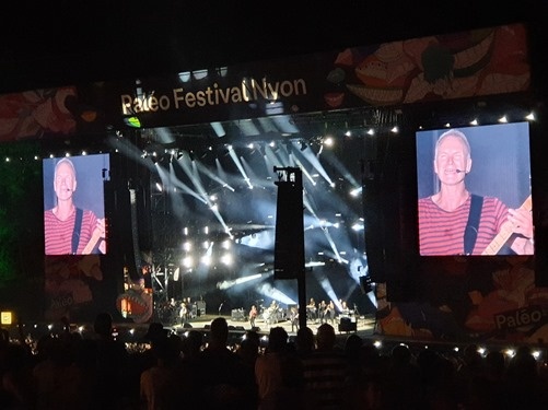 Sting Sting