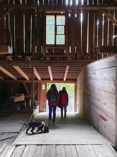 Inside an old barn Inside an old barn