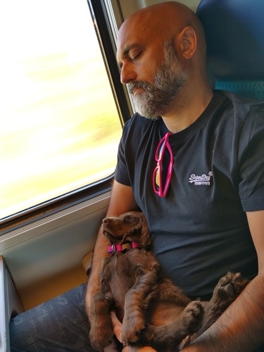 Sleeping in the train Sleeping in the train