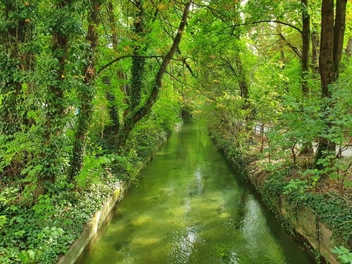 A small river A small river