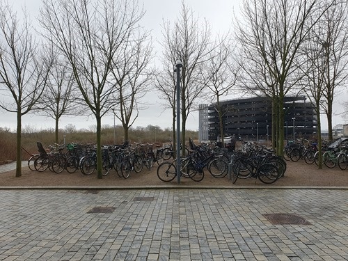 A bit gloomy A bit gloomy