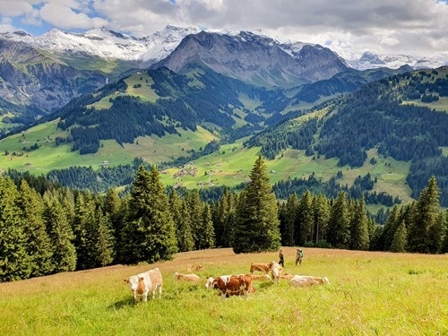 The Hills Are Alive The Hills Are Alive