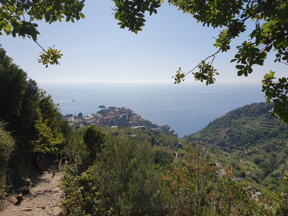 Heading down towards Corniglia Heading down towards Corniglia