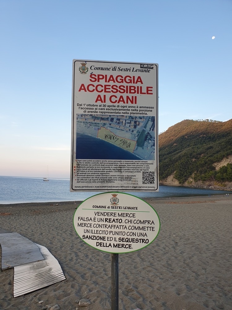 A dog-friendly beach A dog friendly beach