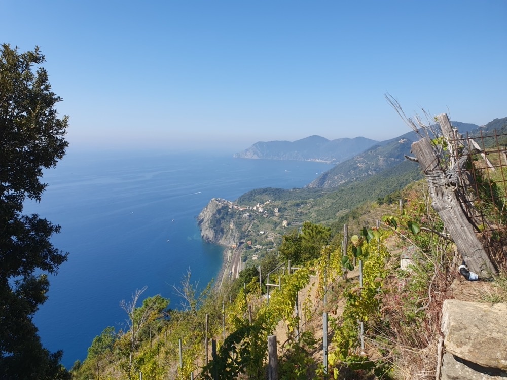 The view towards Corniglia The view towards Corniglia