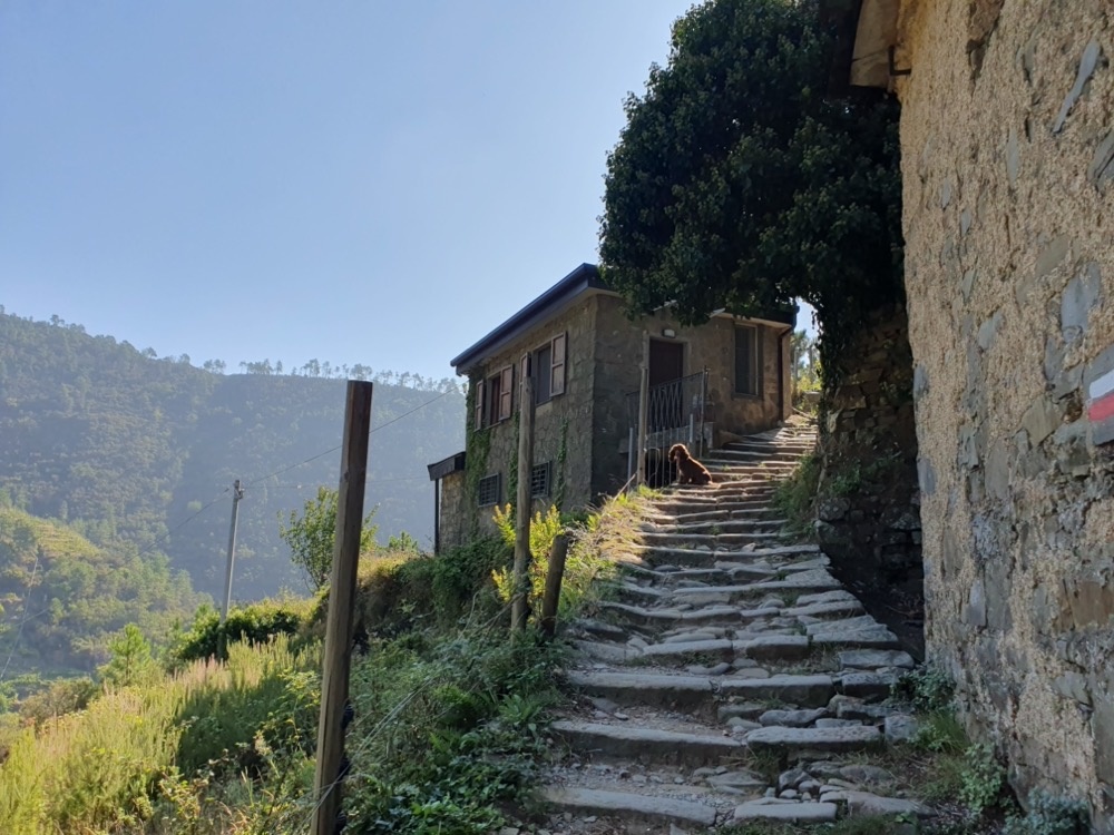 Up the steps Up the steps
