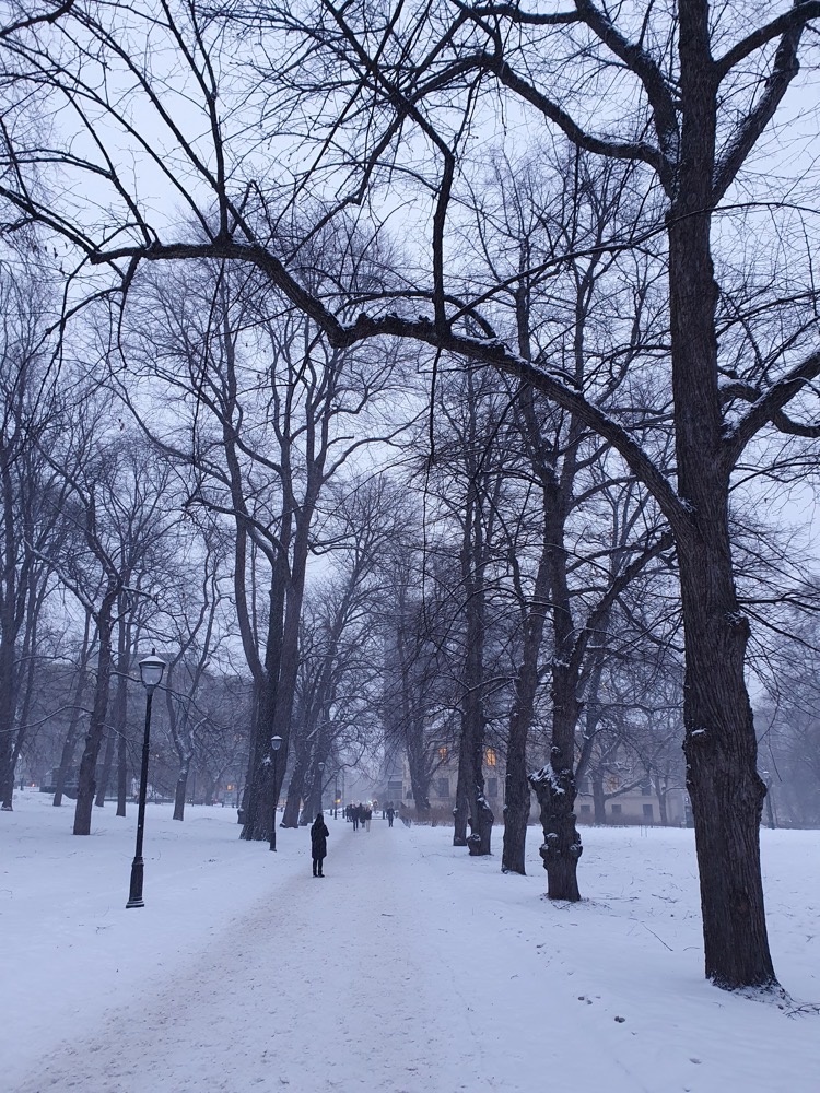 Oslo in the snow Oslo in the snow
