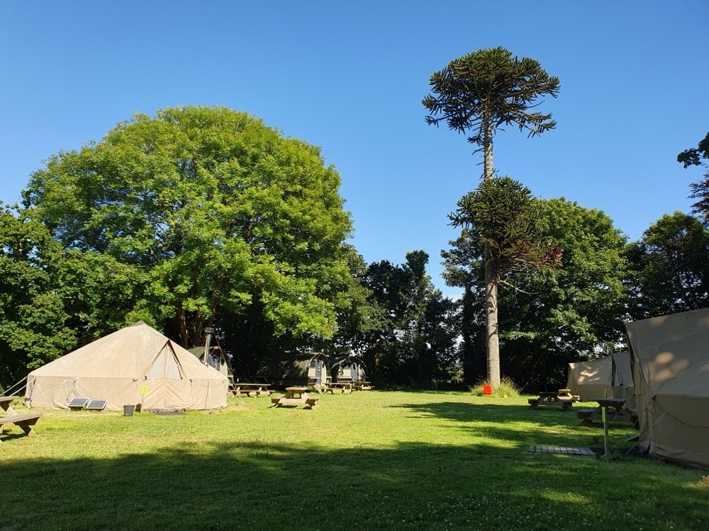 The yurts in Penzance The yurts in Penzance