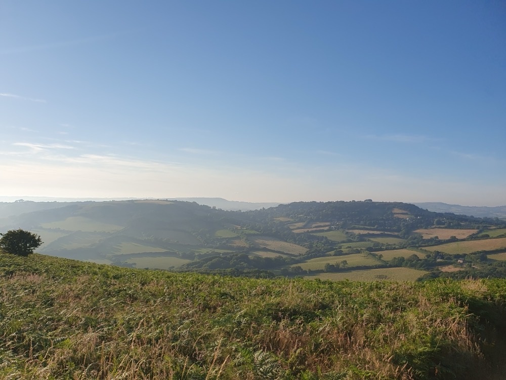 The view northwards The view northwards