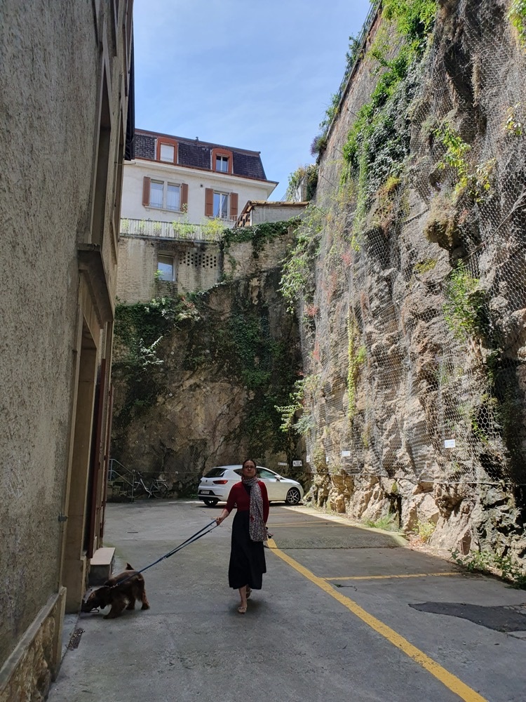 Taking Daisy to the vet's Taking Daisy to the vet's.