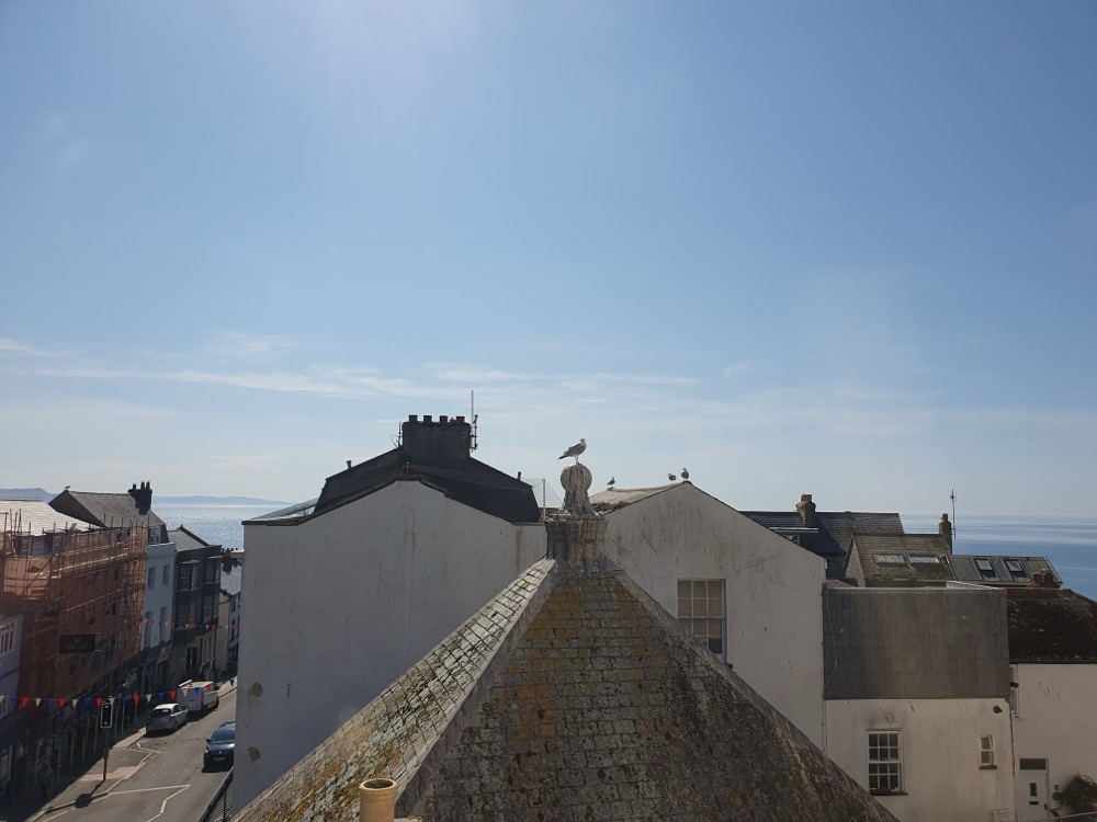 View across Lyme View across Lyme
