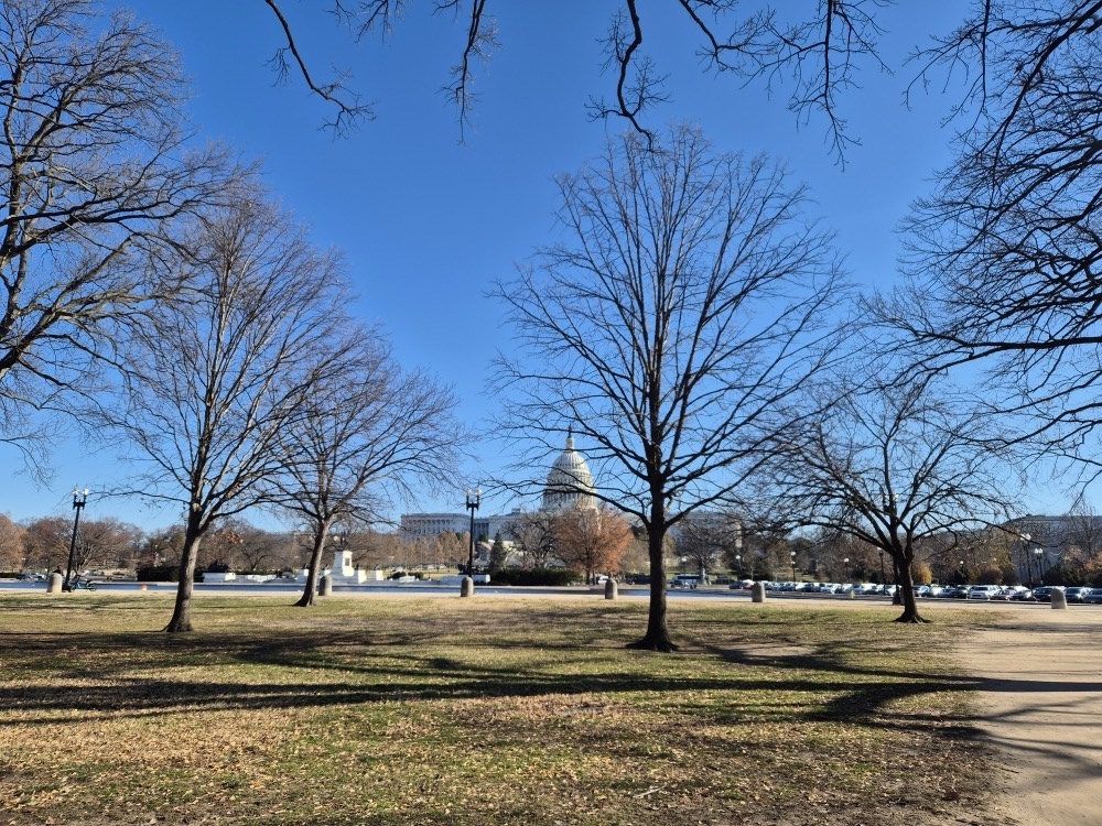 Through the park Through the park