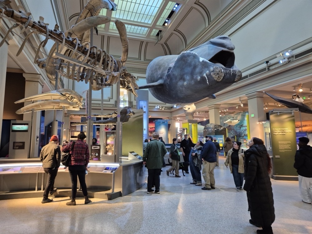 Natural history atrium Natural history atrium