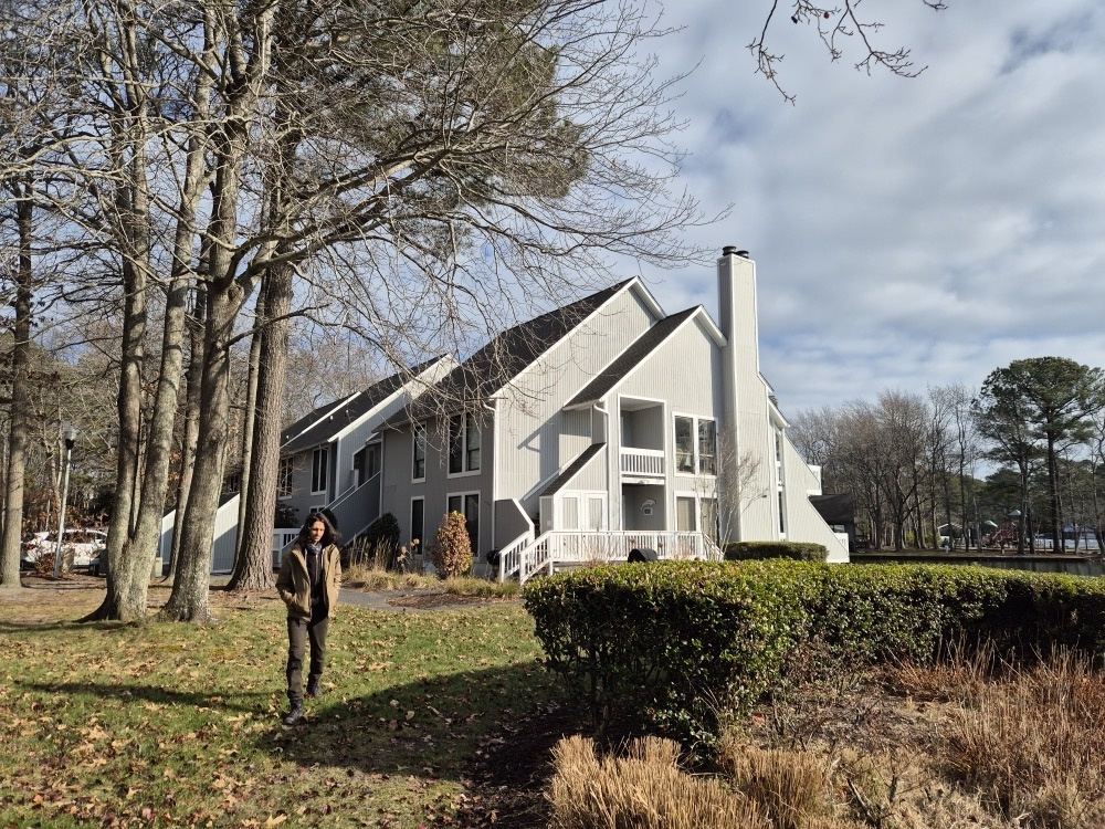 Sea Colony Sea Colony