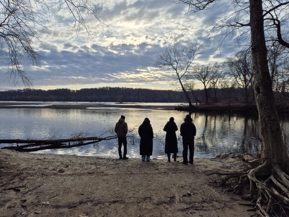 Down by the river Down by the river
