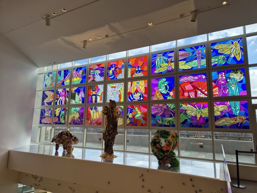 Baltimore Museum of Art Baltimore Museum of Art