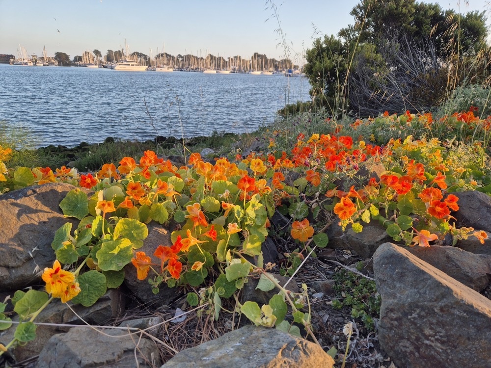 Not sure about these ones Not sure about these ones