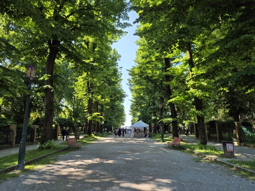 The gardens before the gardens The gardens before the gardens