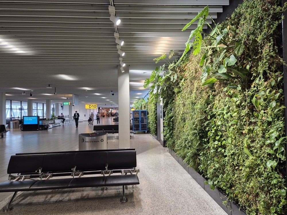 A living wall A living wall