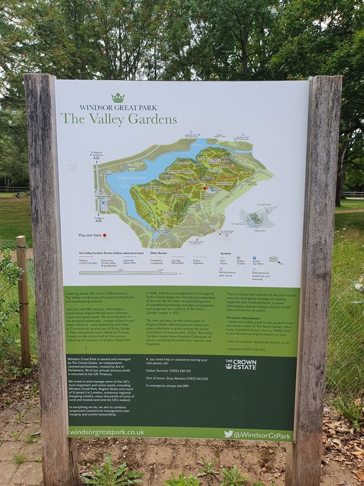 Windsor Great Park.jpg Windsor Great Park